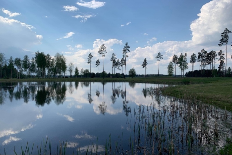 Päivässä golfariksi –golfin alkeiskurssi