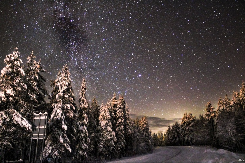 Kelkkasafari tähtien loisteessa
