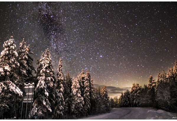 Kelkkasafari tähtien loisteessa