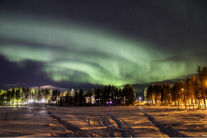Moottorikelkkasafari porotilalle 