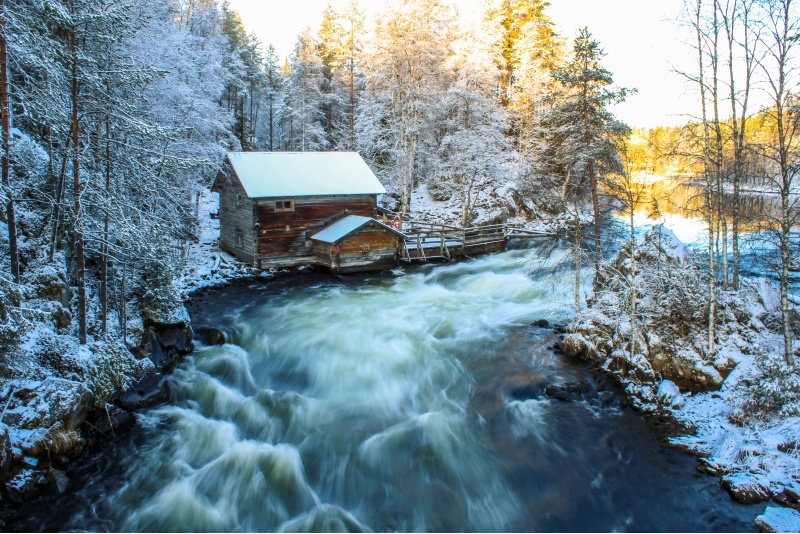 Lumikenkäretki Oulangan Kansallispuistoon