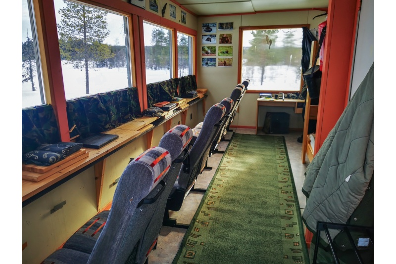 Yöttömän yön karhunkatselu Kuusamossa