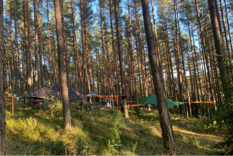 Tentsile Stingray vuokraus 2 vrk