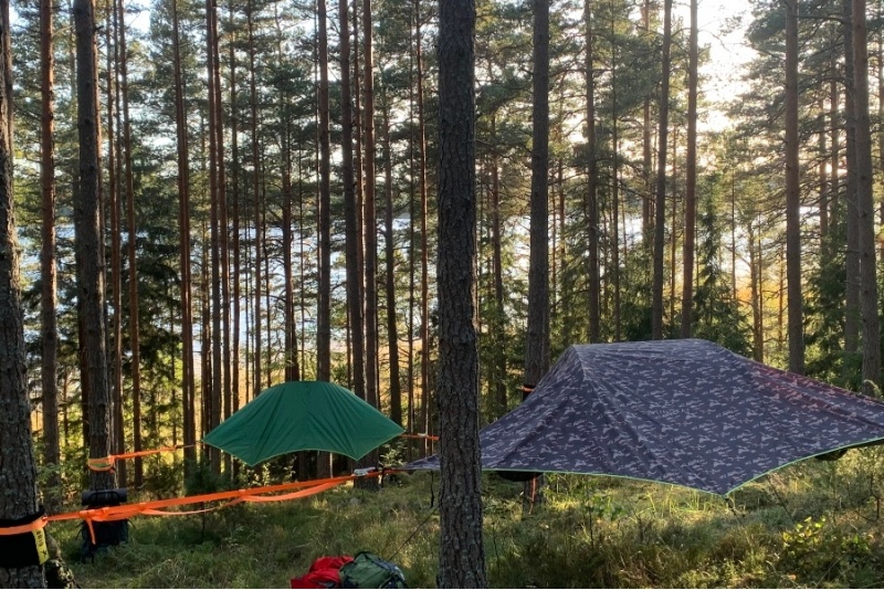 Tentsile Stingray vuokraus 2 vrk