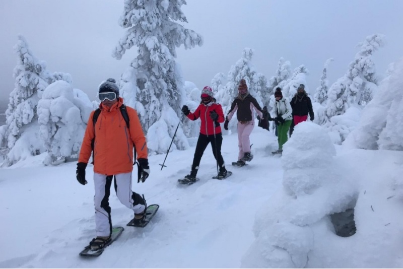 Lumikenkäretki Riisitunturin Kansallispuistoon
