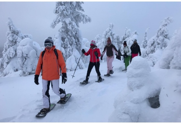 Lumikenkäretki Riisitunturin Kansallispuistoon