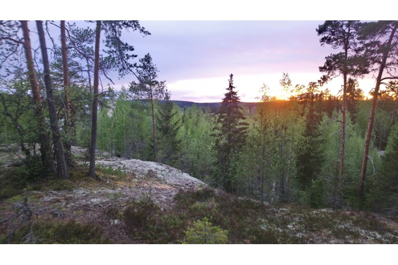 Muistojen matkat
