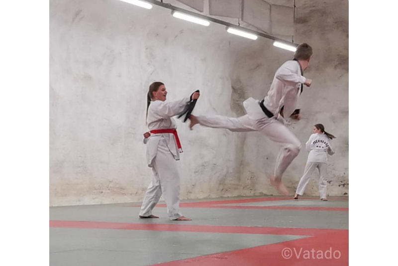 Taekwondo peruskurssi