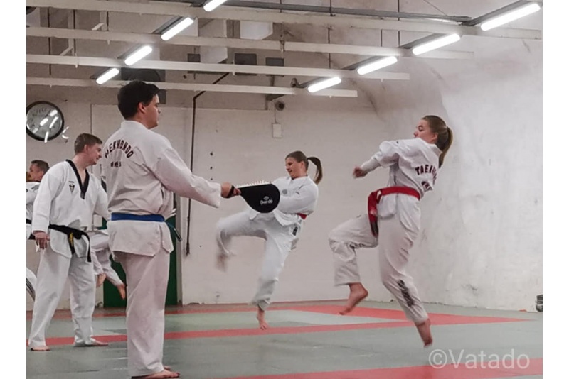 Taekwondo peruskurssi