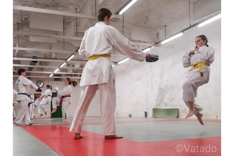 Taekwondo peruskurssi