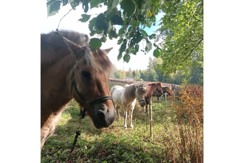 Mökkiyö ulkoporealtaalla (maanantai-torstai)