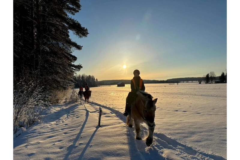 Mökkiyö ulkoporealtaalla (maanantai-torstai)