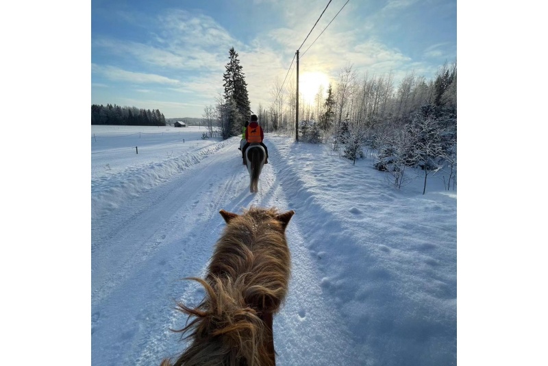 Mökkiyö ulkoporealtaalla (perjantai-sunnuntai)