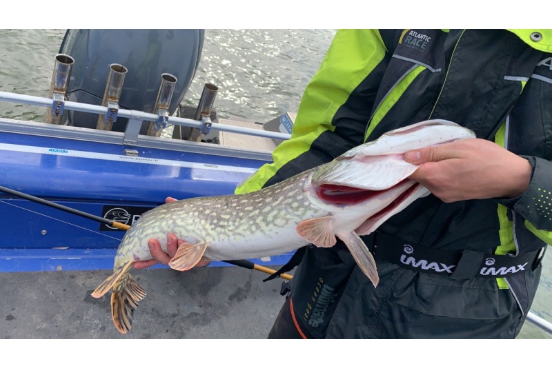 Avoin lahjakortti: Chill Out Fishing
Kemiönsaari / Sauvo / Salo / Parainen