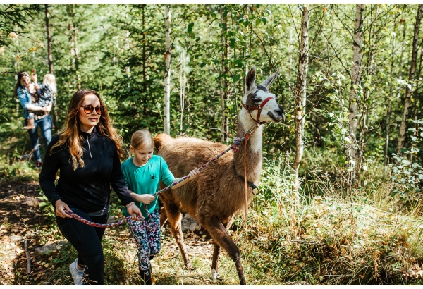 Elämyksellinen eläinkävely
