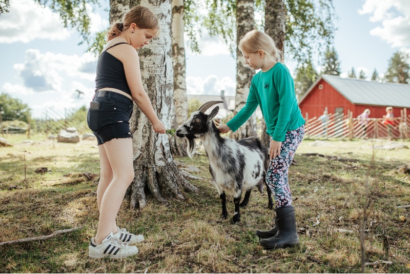 Elämyksellinen eläinkävely