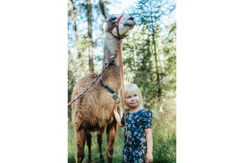 Hanhenlennon veikeät eläinjuhlat