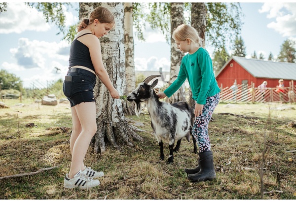 Hanhenlennon veikeät eläinjuhlat