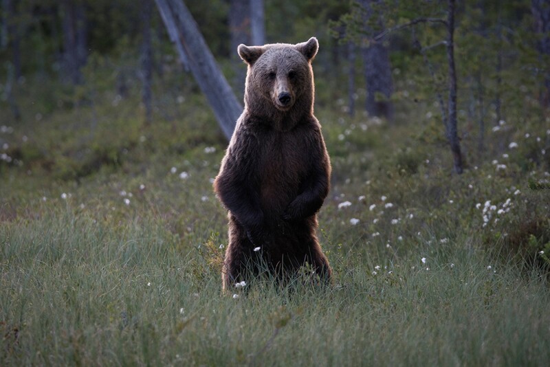 Unohtamaton elämys kahdelle - Hotelli Kalevala