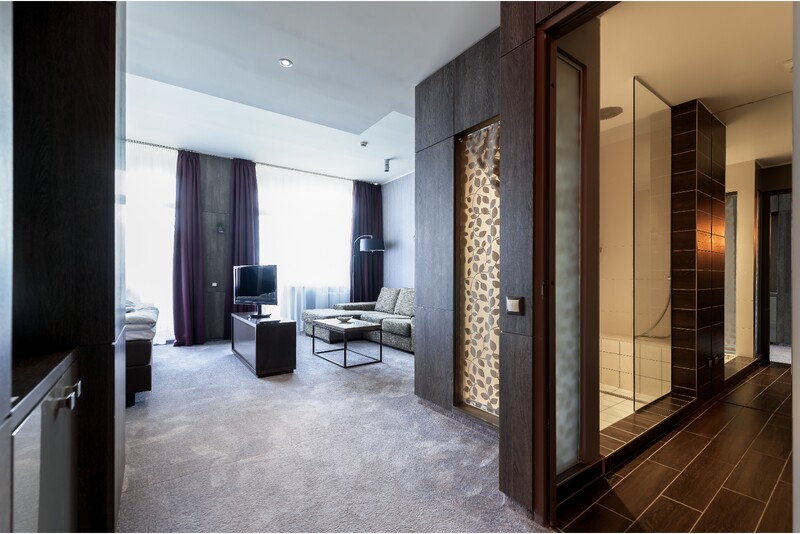 Majoitus aamiaisella kahdelle „SPA VILNIUS Druskininkai“ -hotellissa (arkipäivisin)