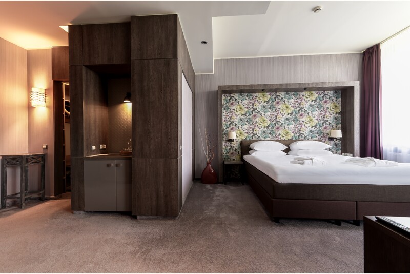 Majoitus aamiaisella kahdelle „SPA VILNIUS Druskininkai“ -hotellissa (arkipäivisin)