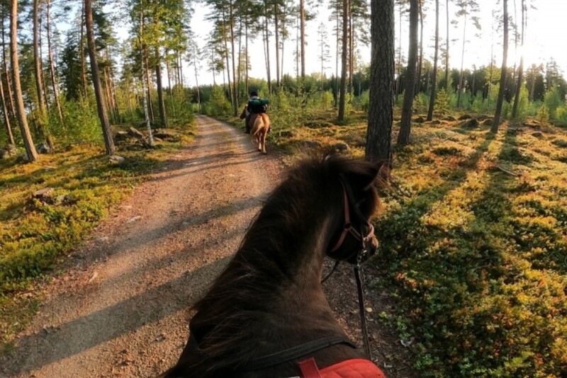 Ohjattu ratsastusretki islanninhevosella kolmelle henkilölle