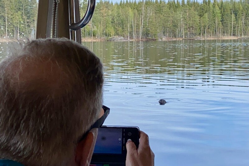 Norpparetki Puumalassa Ekopaatilla