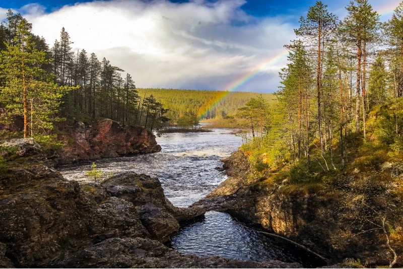 Selviytyminen erämaassa - kesä & syksy