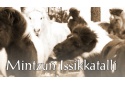 Mintzun Issikkatalli