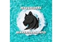Waveriders