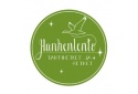 Hanhenlento