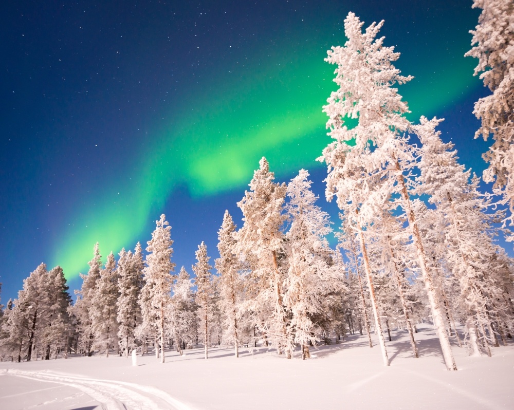 Lappi